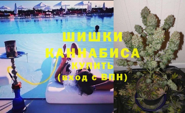 mdma Гатчина