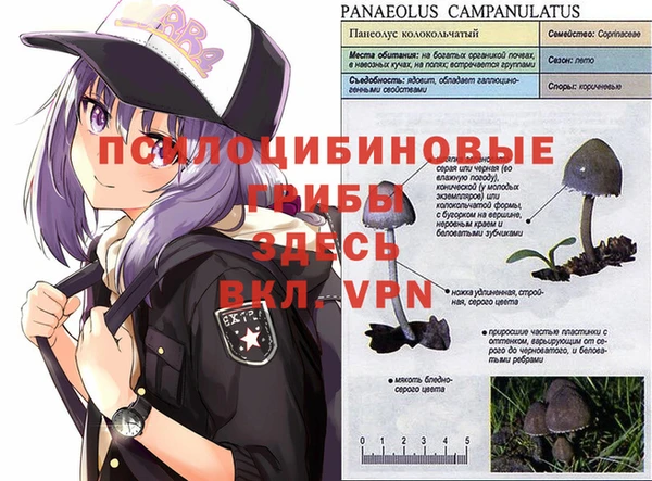 соль ск Новокубанск