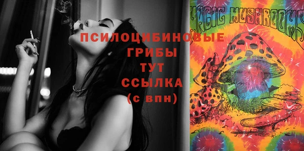 mix Новозыбков